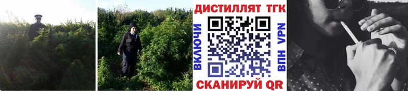 Дистиллят ТГК THC oil  hydra зеркало  Байкальск 